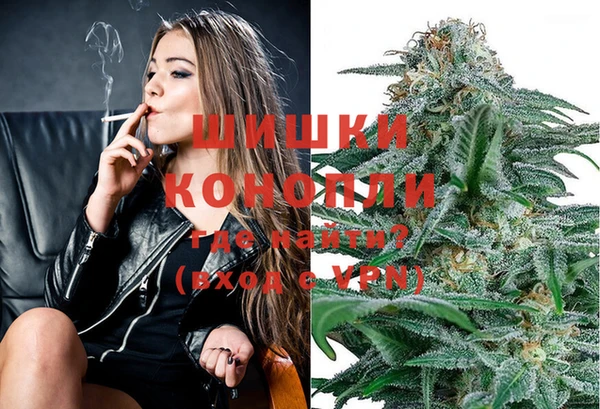 соль ск Алзамай