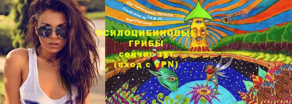 ECSTASY Рославль