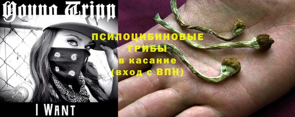 шишки Алексин