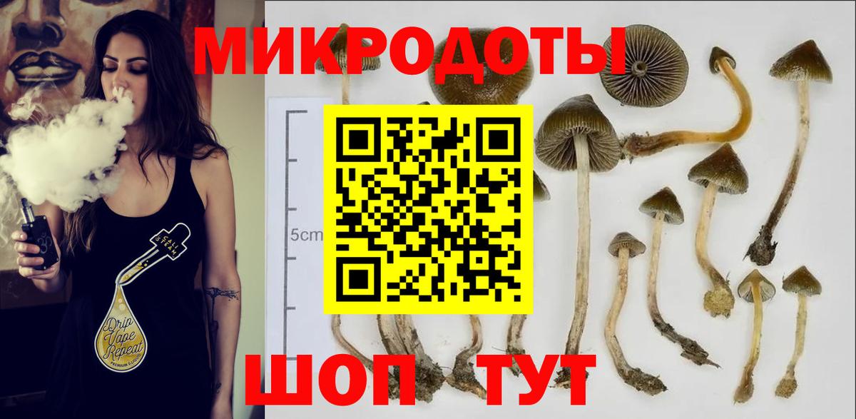 Алексин  Псилоцибиновые грибы мухоморы  Вход с VPN 