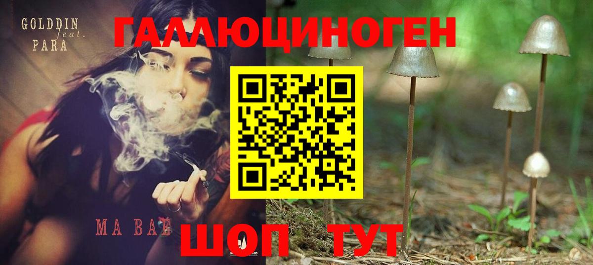 Галлюциногенные грибы Magic Shrooms Алексин
